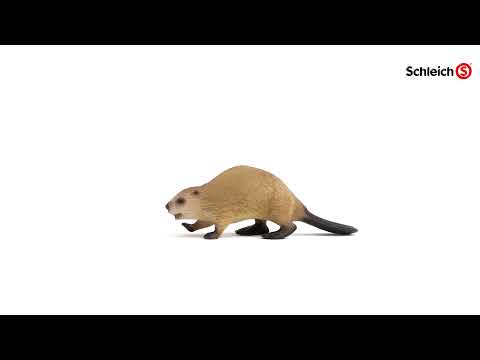 Figurka Bóbr 14855 Wild Life Schleich